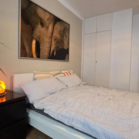 Medicus, 3 Zkb, Balkon, Garten, Naehe Stadtpark, Ruhig Apartment Kaiserslautern