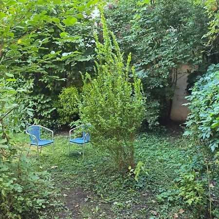 Medicus, 3 Zkb, Balkon, Garten, Naehe Stadtpark, Ruhig Kaiserslautern