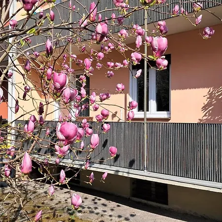 Medicus, 3 Zkb, Balkon, Garten, Naehe Stadtpark, Ruhig *