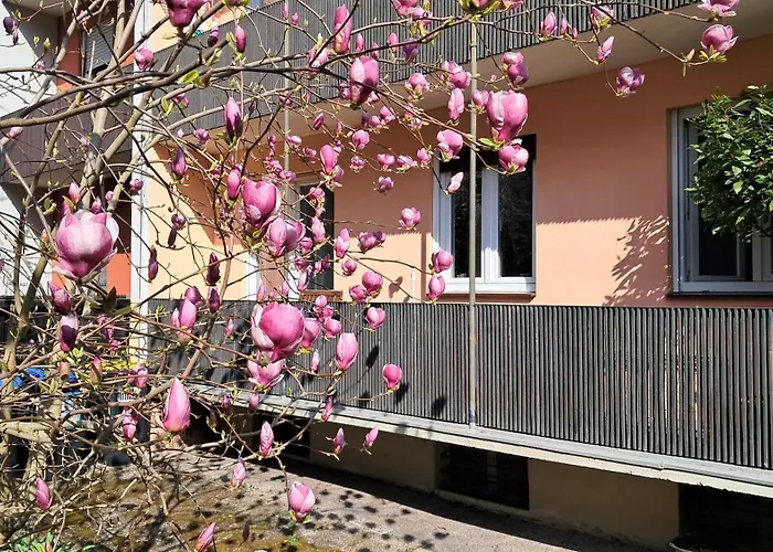 Medicus, 3 Zkb, Balkon, Garten, Naehe Stadtpark, Ruhig *